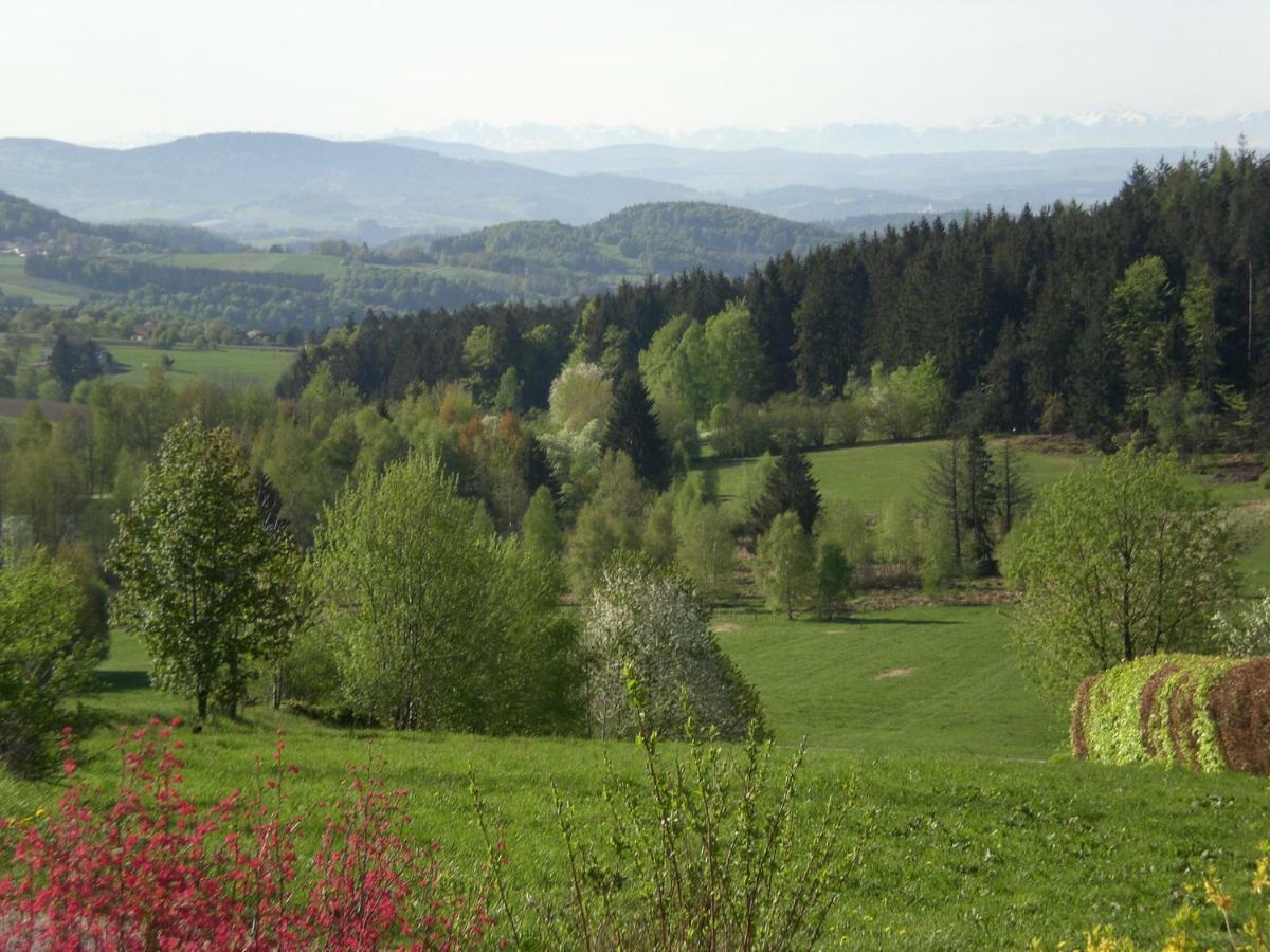 Ferienwohnungen Pichler Hohenau Exterior photo